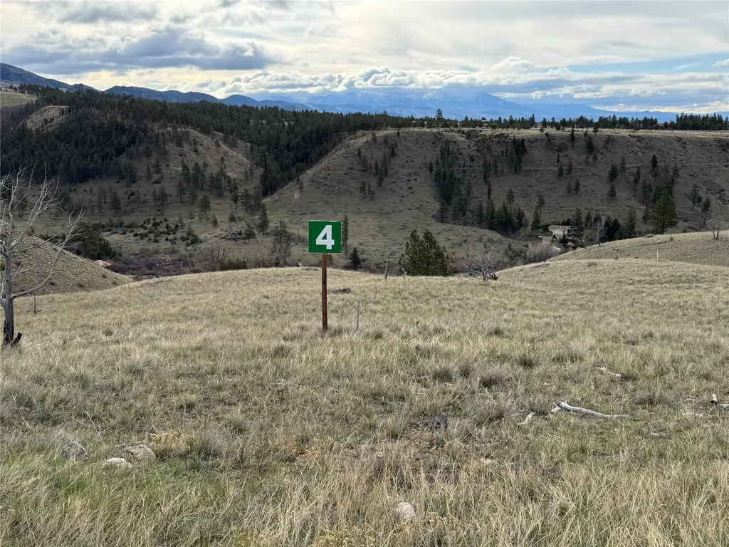 8565 Eagle View Road Helena MT 59602