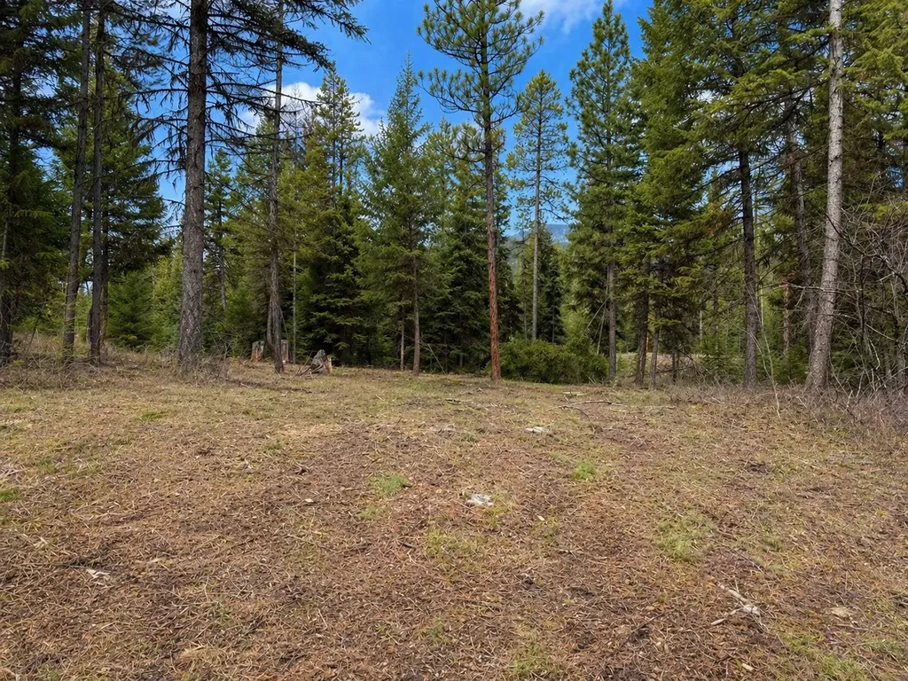 80 Blaney Lane Kila MT 59920