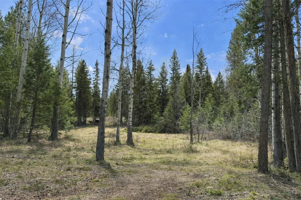 80 Blaney Lane Kila MT 59920