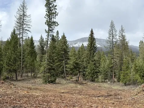 301 Haskill Ranch Road Kila MT 59920