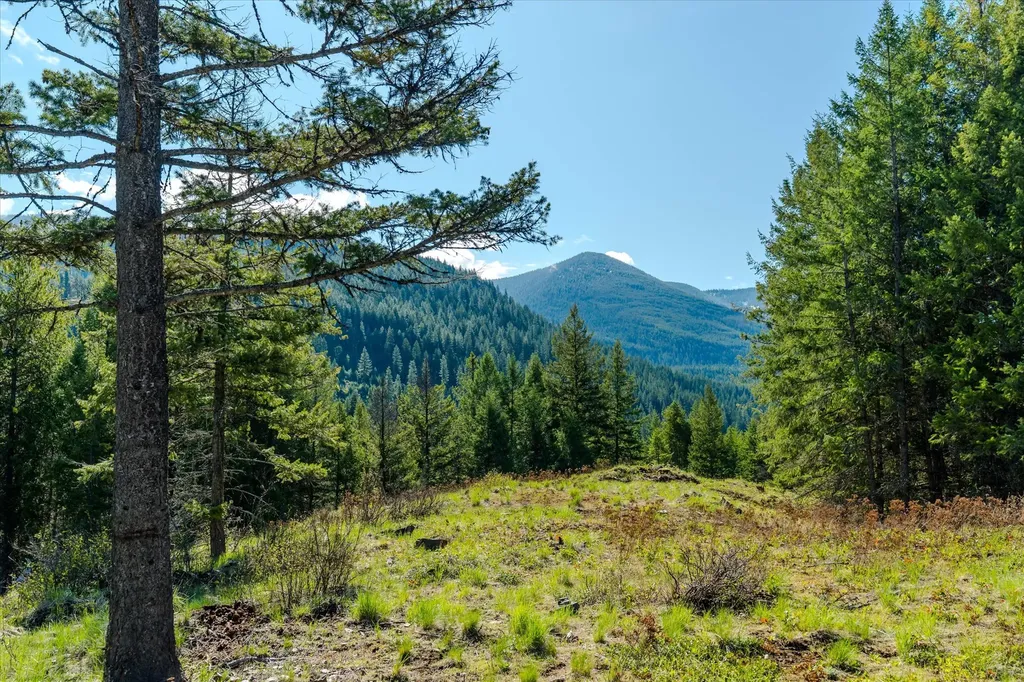 54 N Ridge Way Troy MT 59935
