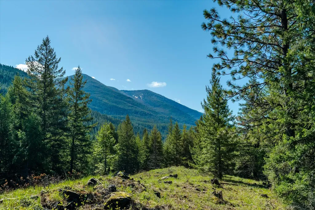 54 N Ridge Way Troy MT 59935