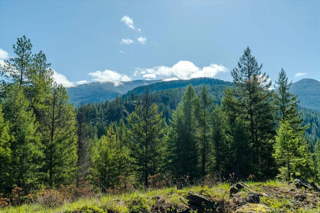 54 N Ridge Way Troy MT 59935