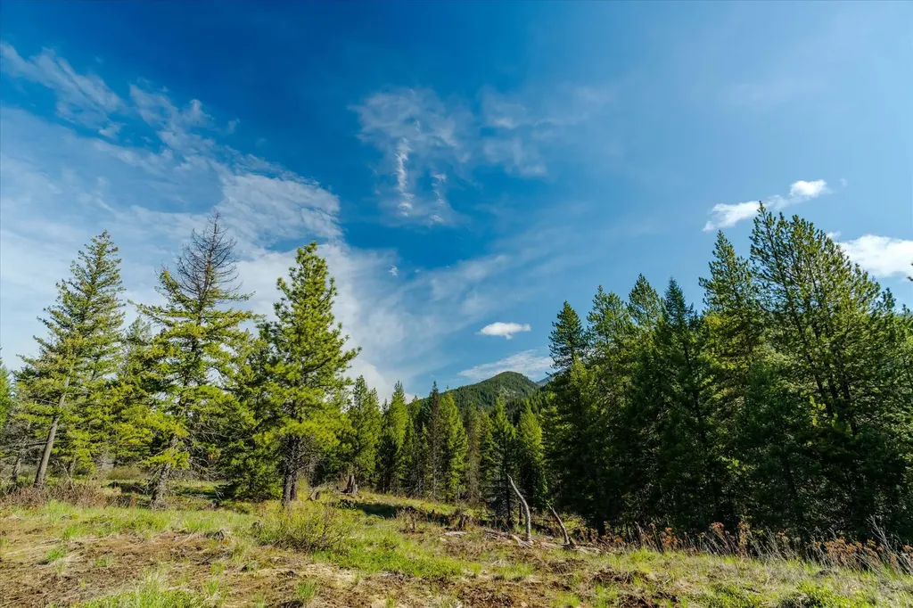 54 N Ridge Way Troy MT 59935