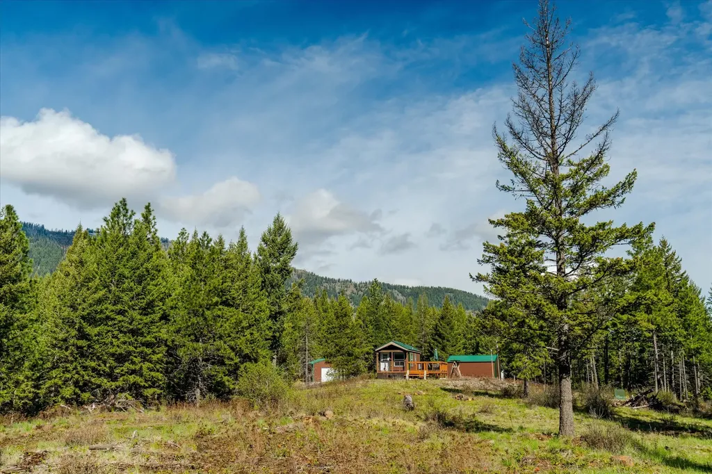 54 N Ridge Way Troy MT 59935
