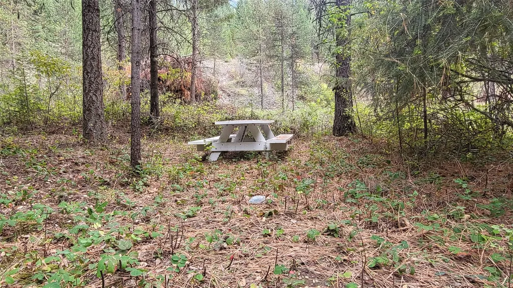 84 Beaver Pond Road Superior MT 59872