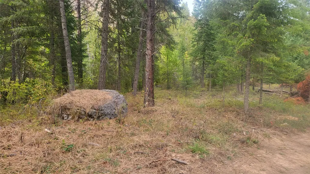 84 Beaver Pond Road Superior MT 59872