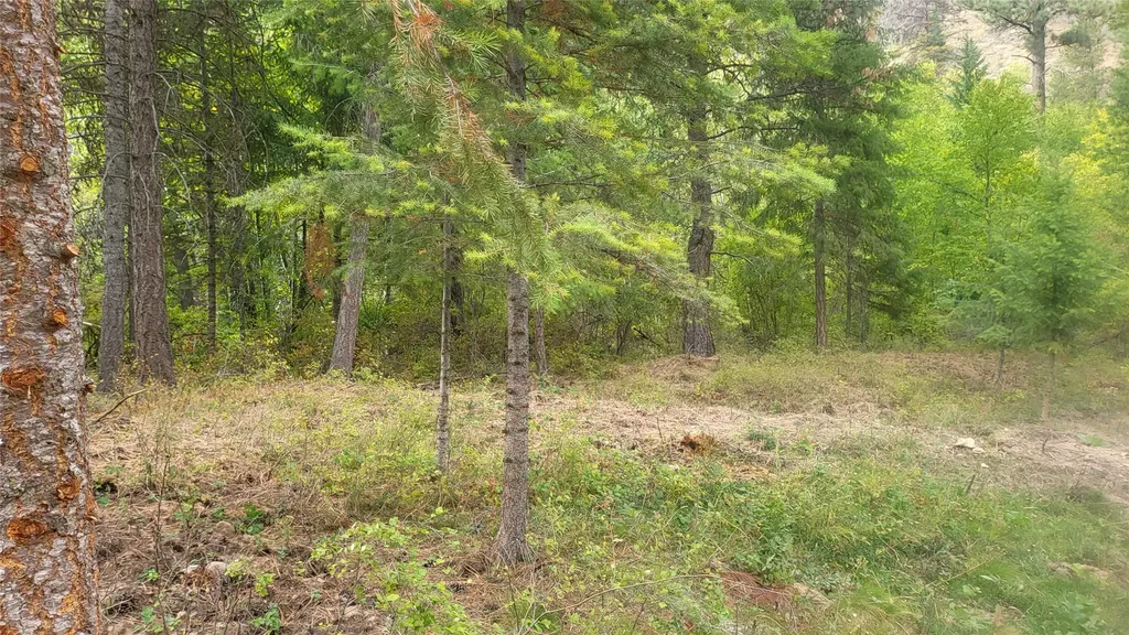 84 Beaver Pond Road Superior MT 59872