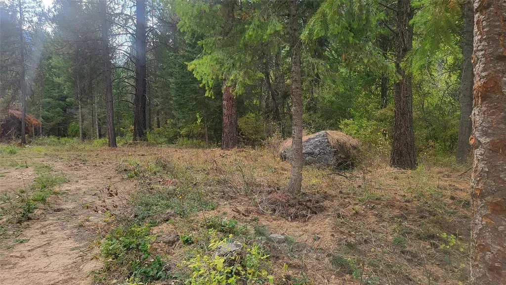 84 Beaver Pond Road Superior MT 59872