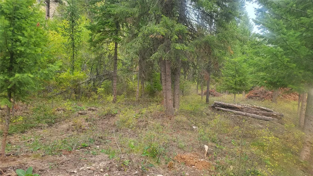 84 Beaver Pond Road Superior MT 59872