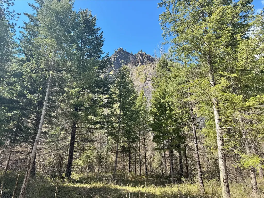 84 Beaver Pond Road Superior MT 59872
