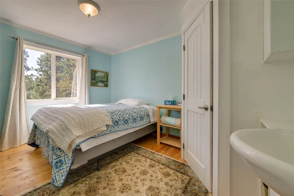 121 Patti Lane Darby MT 59829