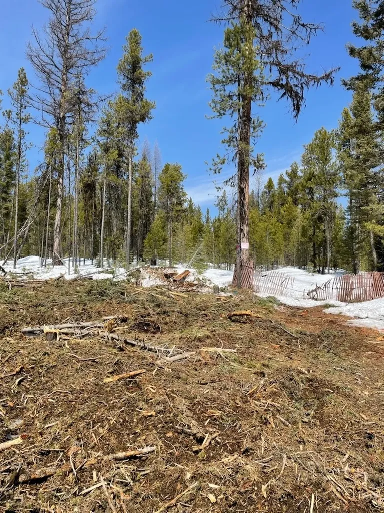 Nhn Dirty Ike Creek Road Clinton MT 59825