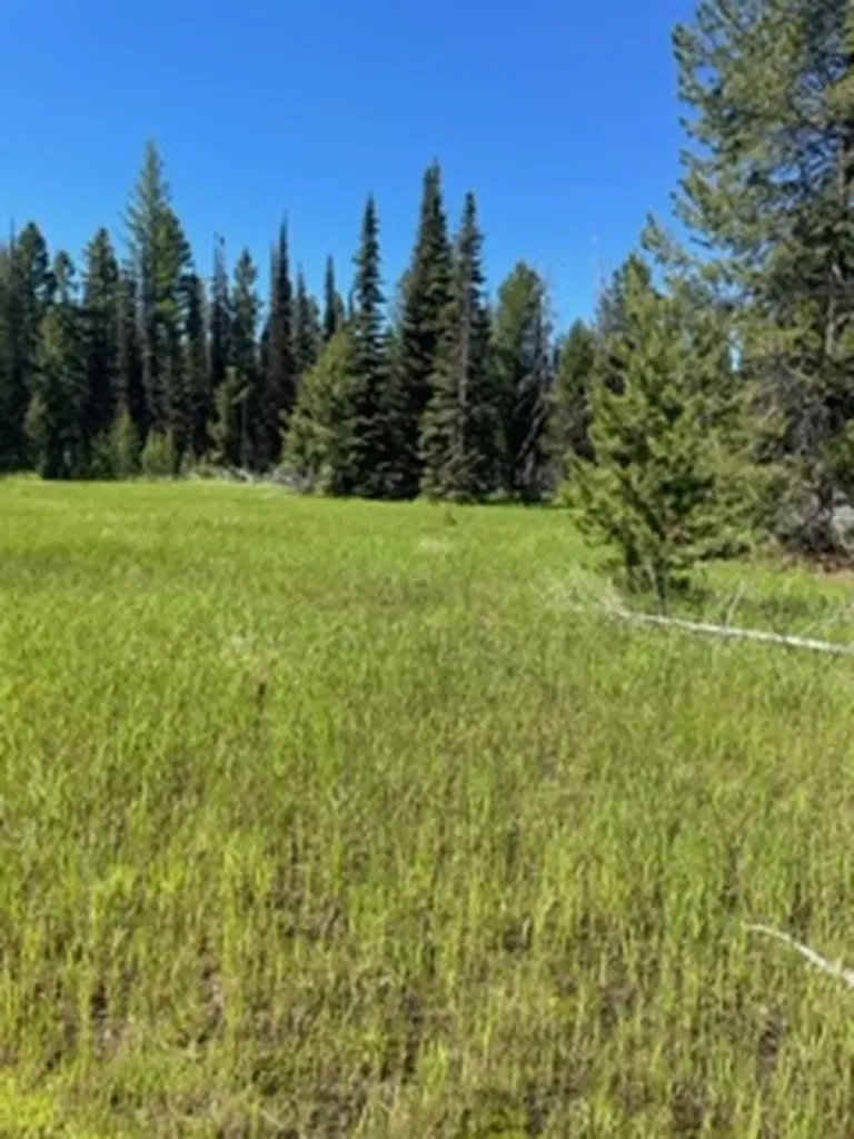 Nhn Dirty Ike Creek Road Clinton MT 59825