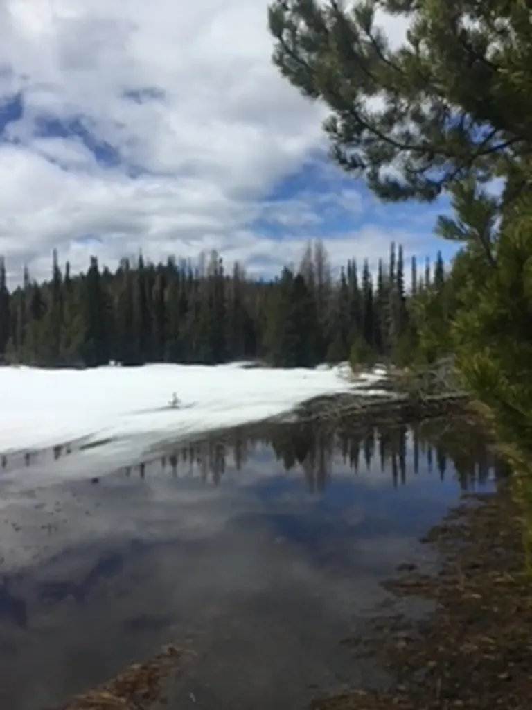 Nhn Dirty Ike Creek Road Clinton MT 59825