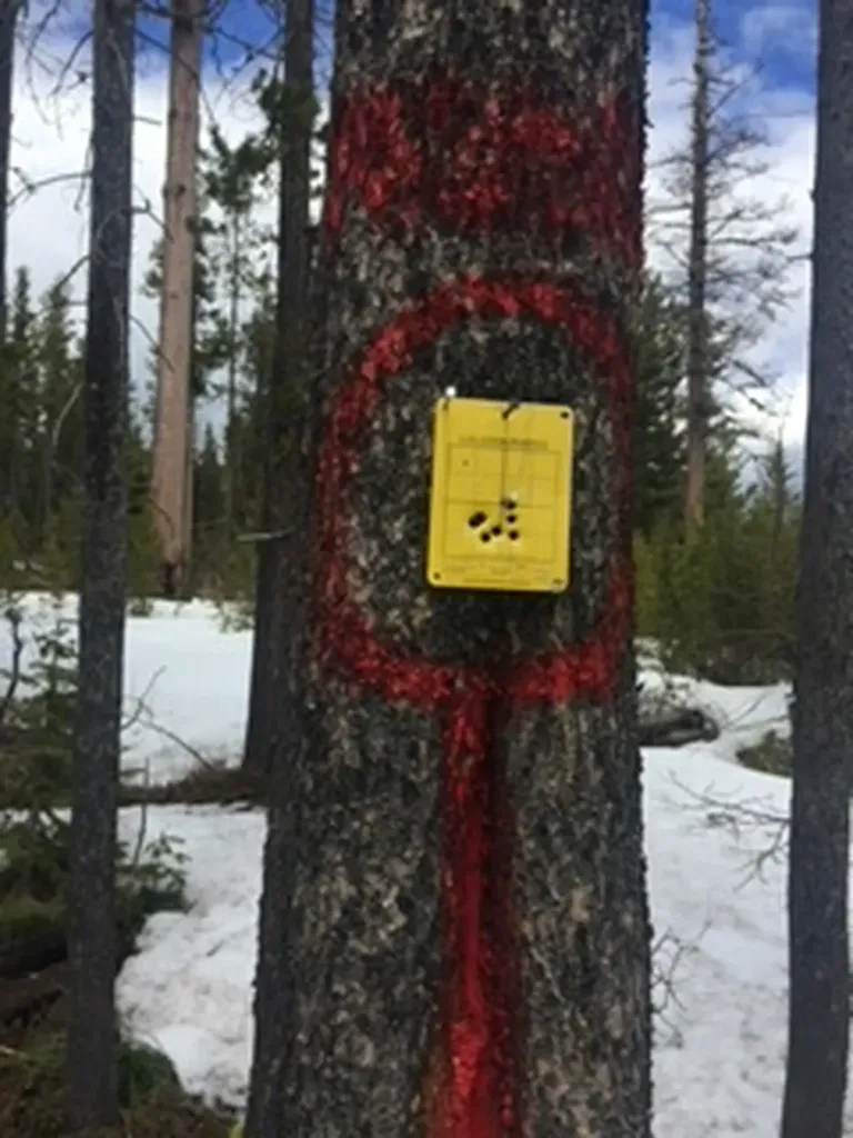 Nhn Dirty Ike Creek Road Clinton MT 59825