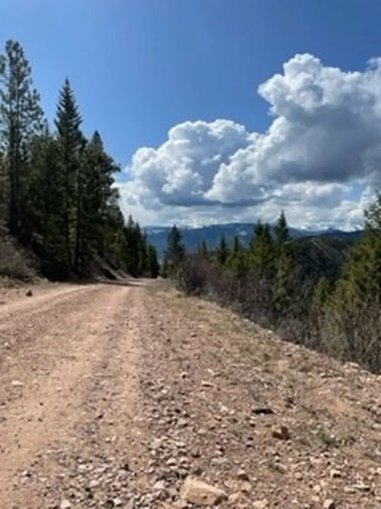 Nhn Dirty Ike Creek Road Clinton MT 59825