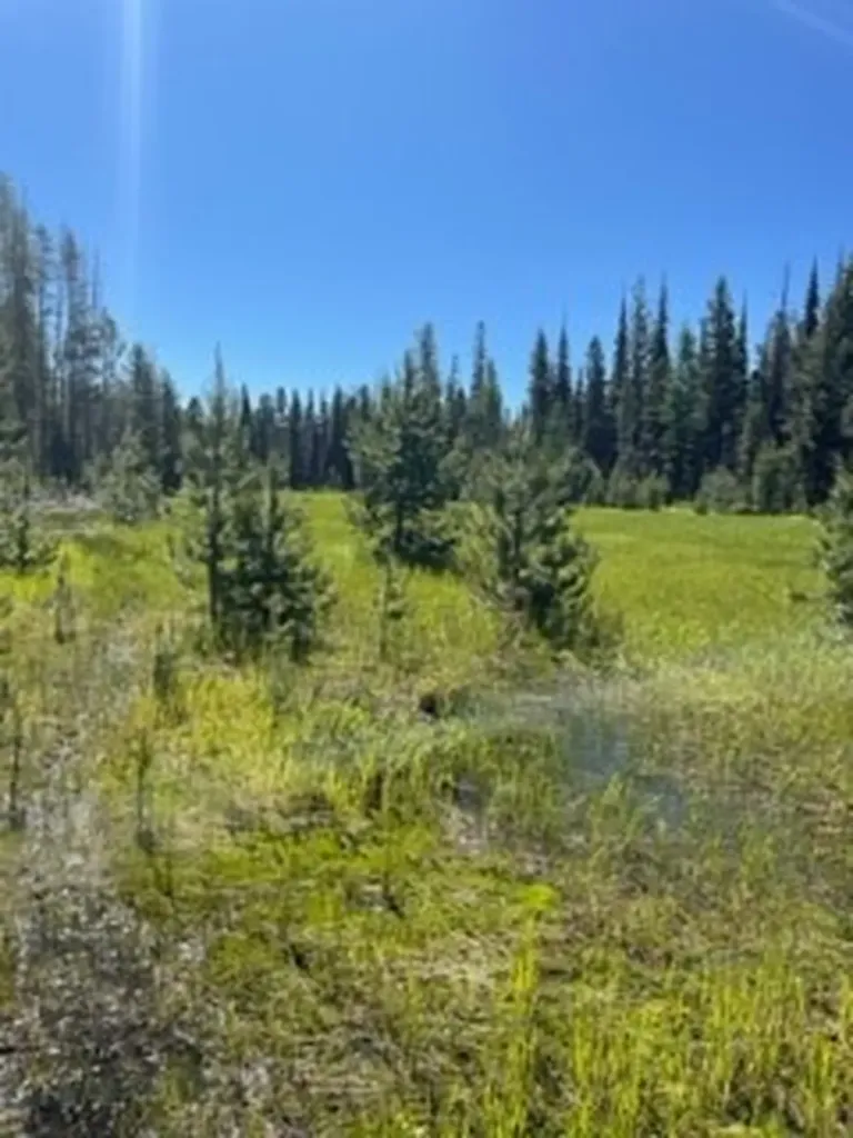 Nhn Dirty Ike Creek Road Clinton MT 59825