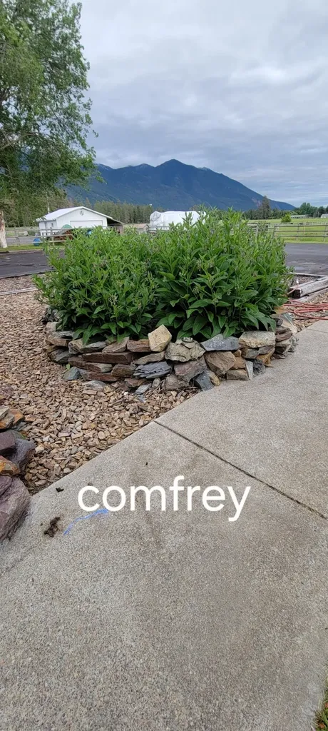 3333 Middle Road Columbia Falls MT 59912