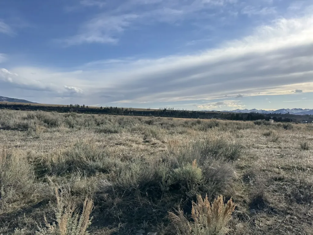 1425 Drovers Trail Stevensville MT 59870