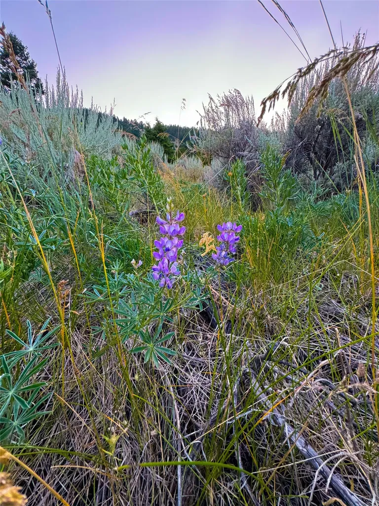 Lot 11 Quintana Lane Boulder MT 59632