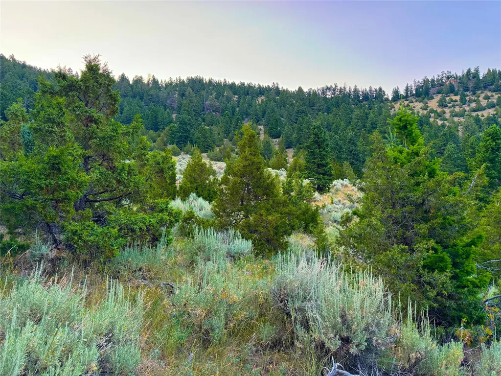 Lot 11 Quintana Lane Boulder MT 59632