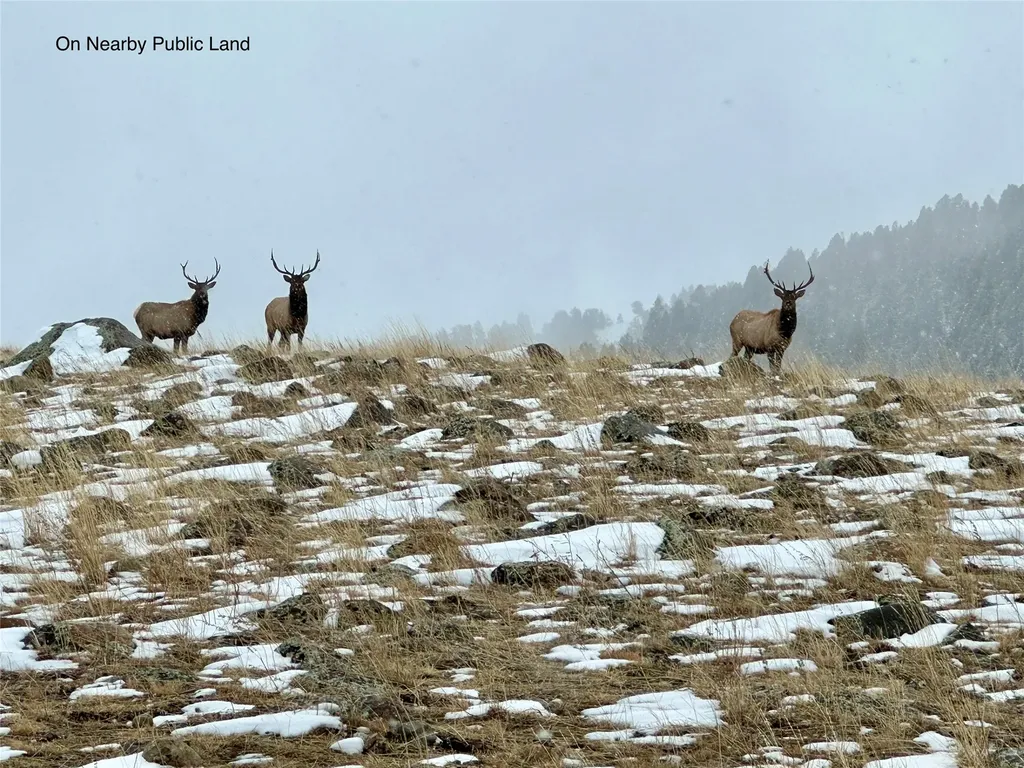 Lot 11 Quintana Lane Boulder MT 59632