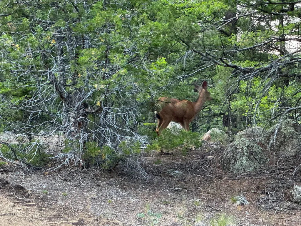 Lot 11 Quintana Lane Boulder MT 59632