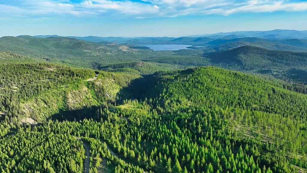 Nhn Little Bitterroot Overlook Marion MT 59925