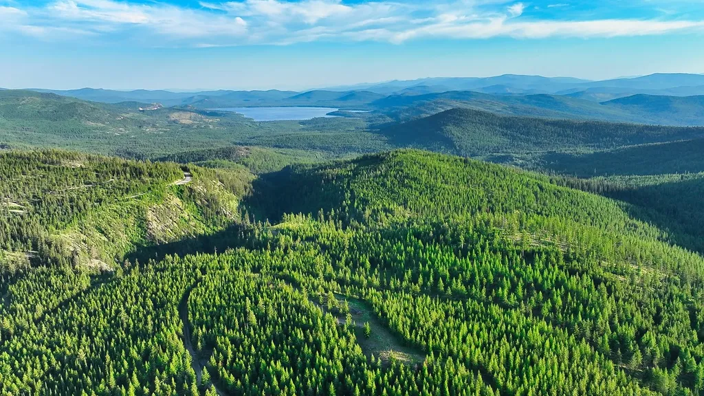 Nhn Little Bitterroot Overlook Marion MT 59925