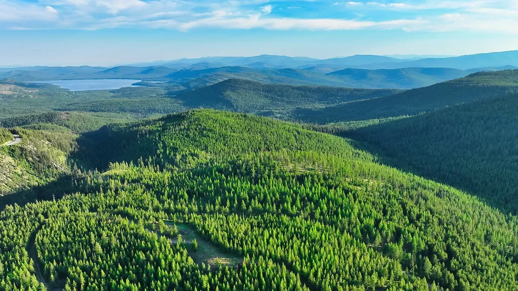 Nhn Little Bitterroot Overlook Marion MT 59925