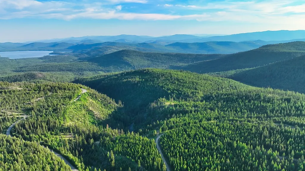 Nhn Little Bitterroot Overlook Marion MT 59925