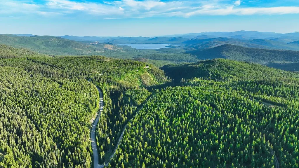 Nhn Little Bitterroot Overlook Marion MT 59925