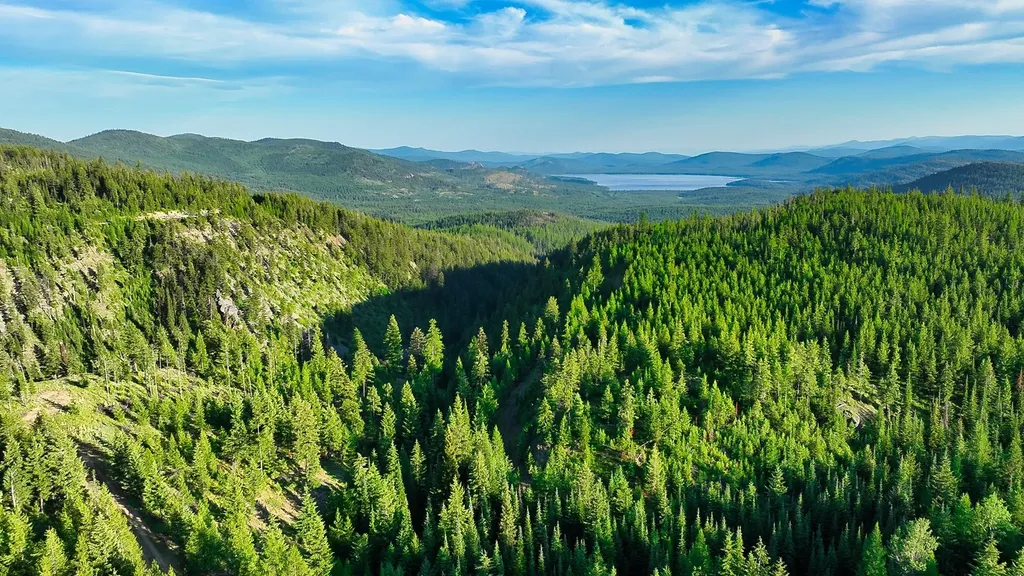 Nhn Little Bitterroot Overlook Marion MT 59925