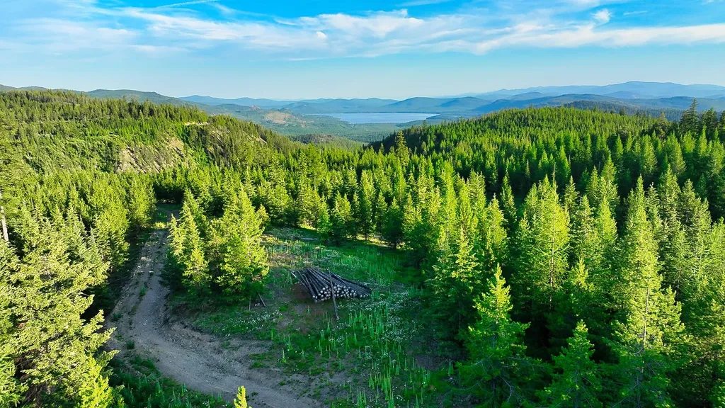 Nhn Little Bitterroot Overlook Marion MT 59925