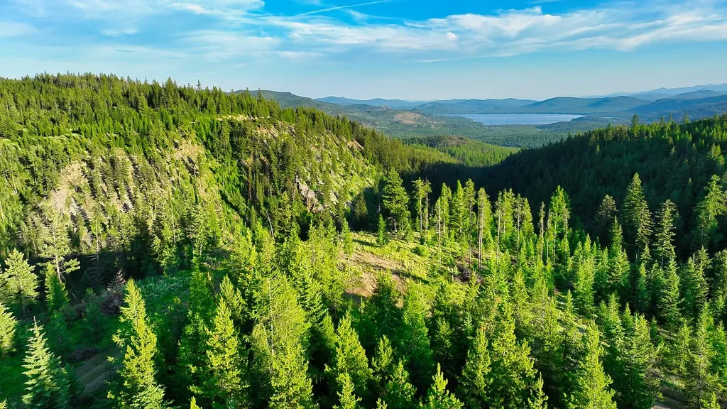 Nhn Little Bitterroot Overlook Marion MT 59925