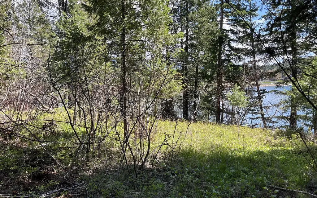 716 Echo Lake Road Bigfork MT 59911