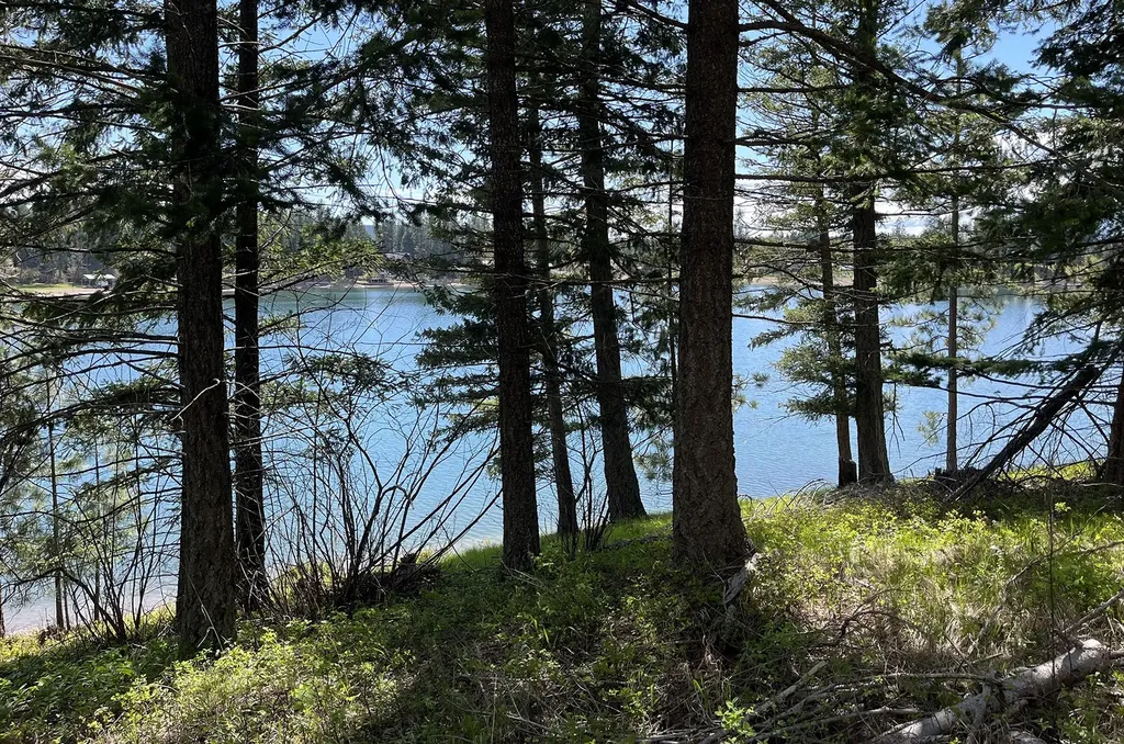 716 Echo Lake Road Bigfork MT 59911