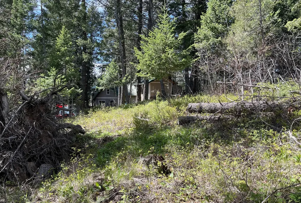 716 Echo Lake Road Bigfork MT 59911