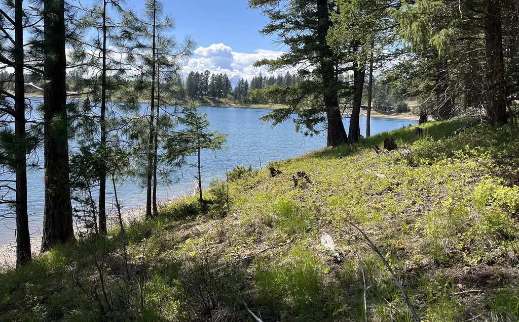 716 Echo Lake Road Bigfork MT 59911
