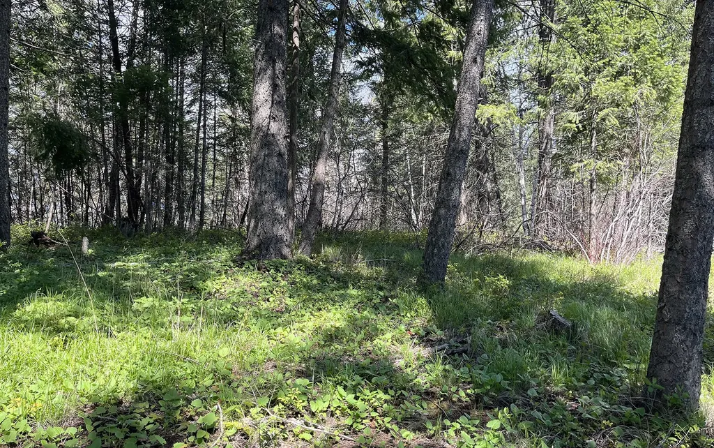 716 Echo Lake Road Bigfork MT 59911
