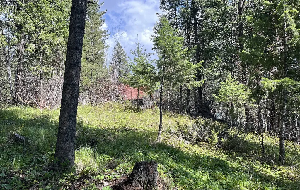 716 Echo Lake Road Bigfork MT 59911