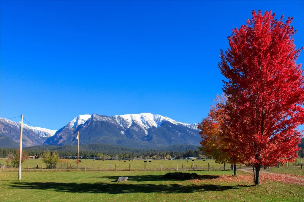62599 Wild Rose Lane St Ignatius MT 59865