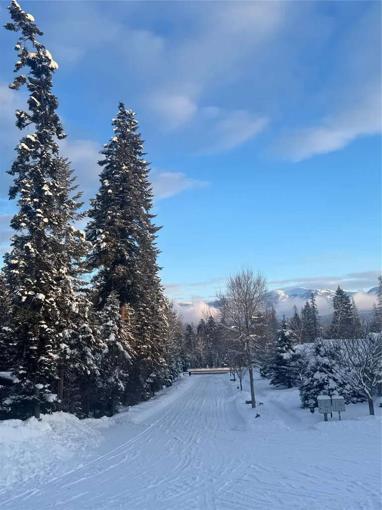 227 Fox Hollow Lane Whitefish MT 59937