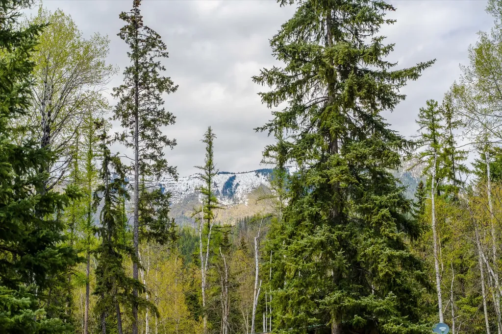 313 Griffith Creek Road Eureka MT 59917