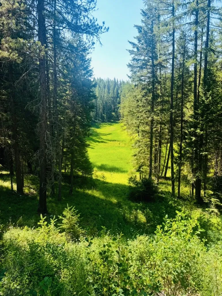 459 Lake Loop Drive Kalispell MT 59901