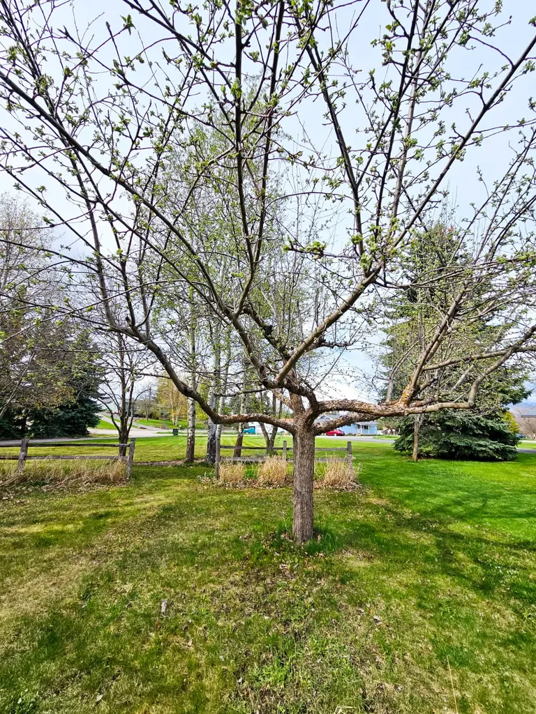 49 Preston Drive Kalispell MT 59901
