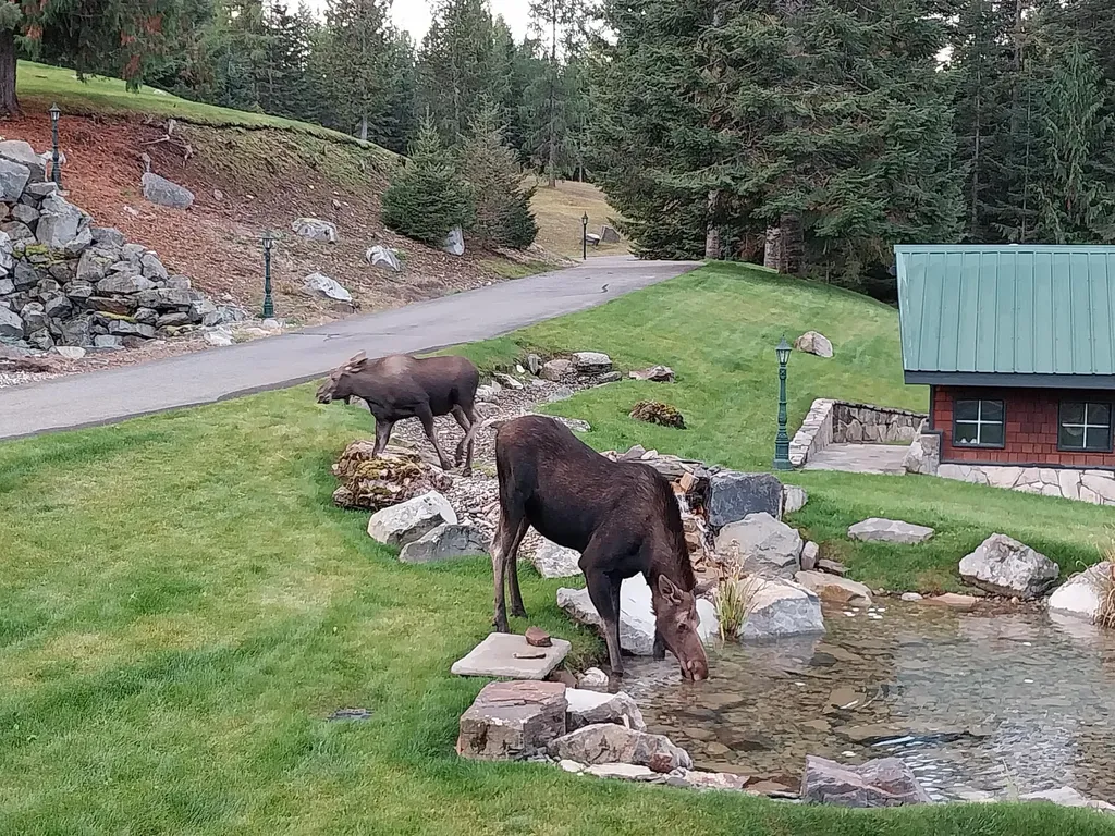 17274 / 17276 Bull Lake Road Troy MT 59935