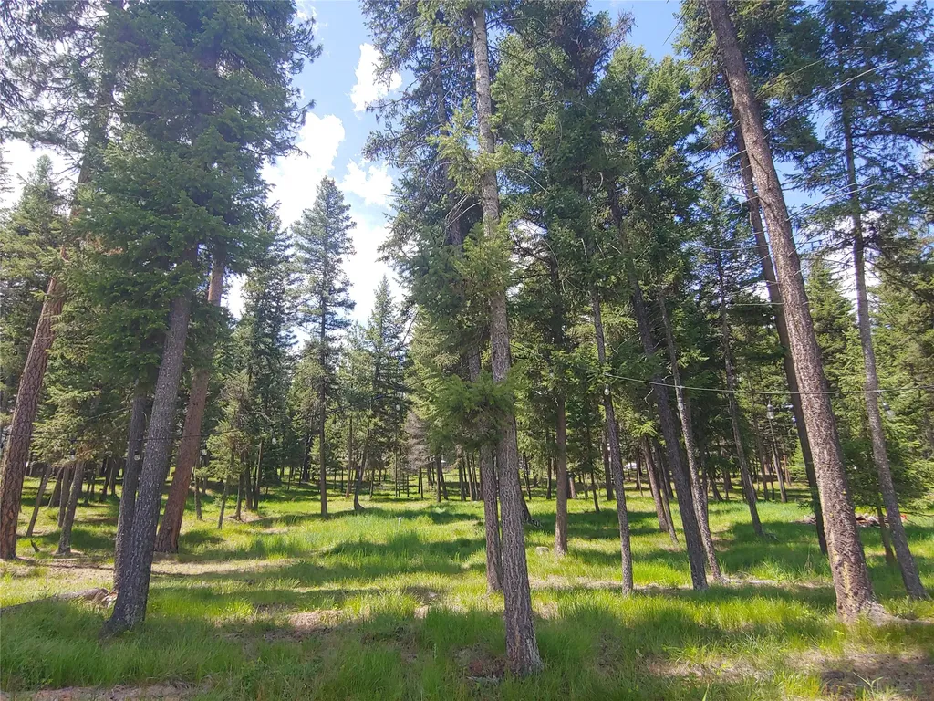 171 Fir Lane Condon MT 59826