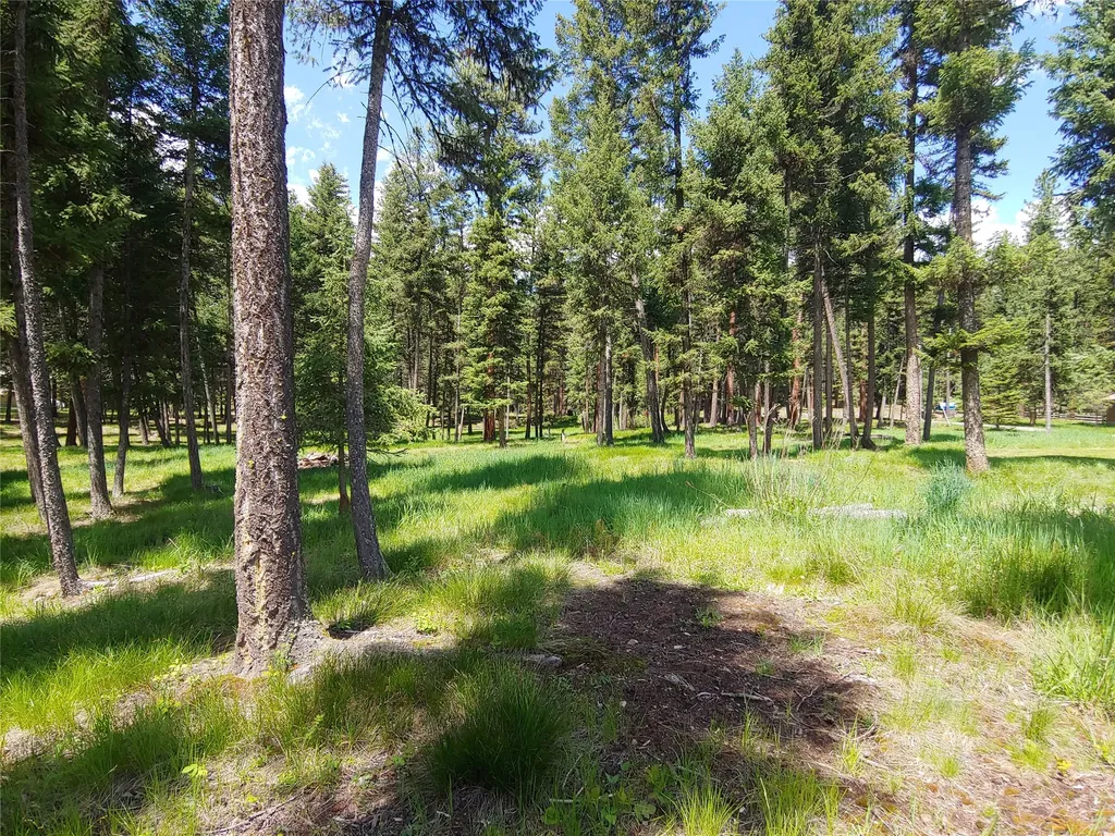 171 Fir Lane Condon MT 59826